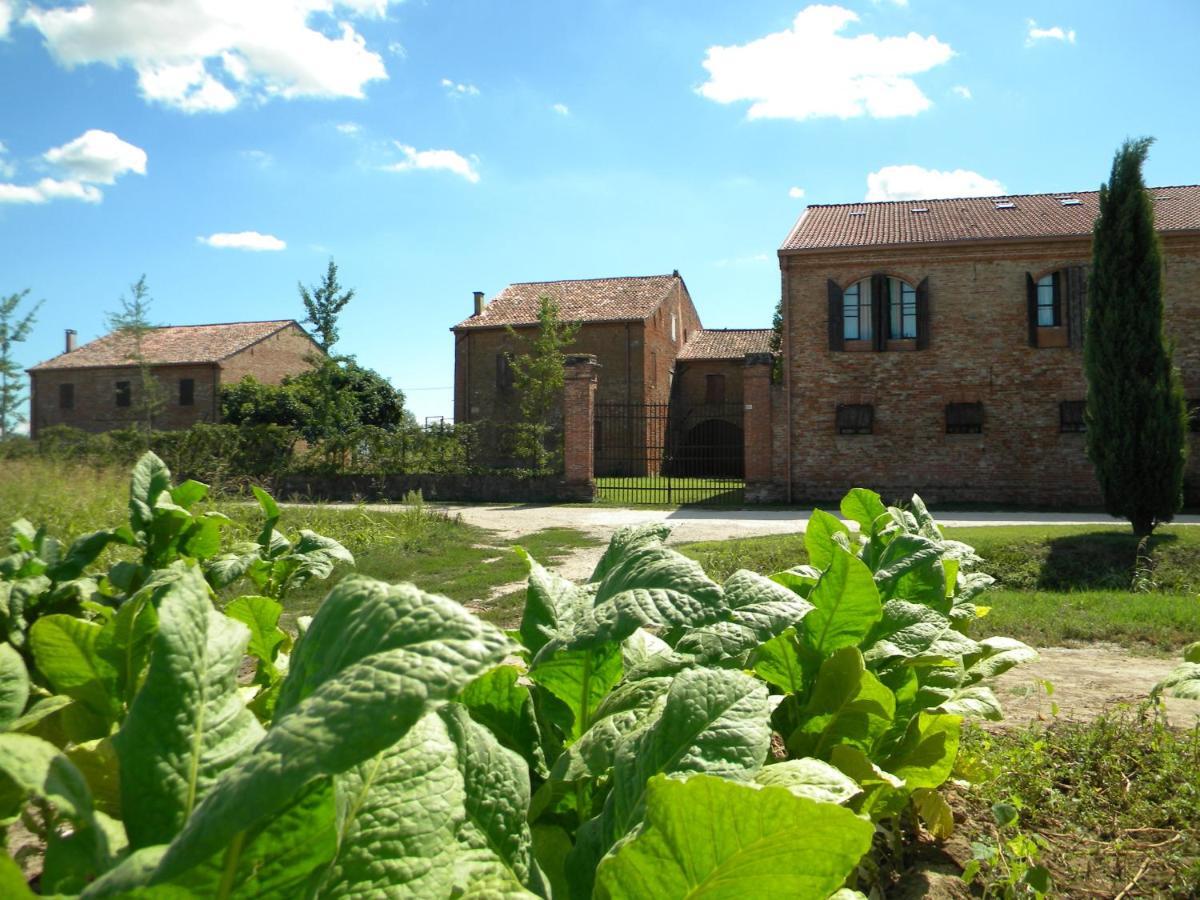 La Foresteria Di Borgogelsi Apartments Sanguinetto Buitenkant foto